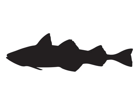 Alaska pollock fish silhouette vector