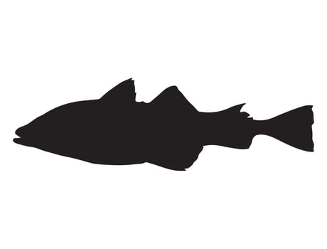 Alaska pollock fish silhouette vector
