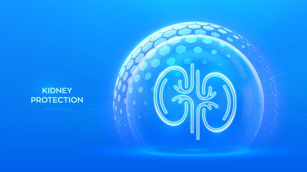 Kidneys care. Healthy kidneys medical concept. Human kidney anatomy organ icon inside protection dome sphere shield with hexagon pattern on blue background. Immunity protection. illustration. vector
