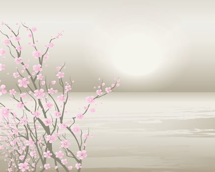 Sakura on white gray background Cherry blossom flower blooming vector