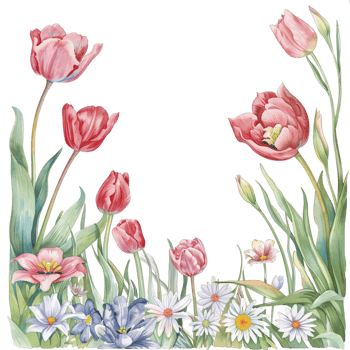 flower frame in watercolor style png