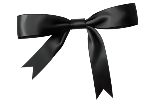 black ribbon bows on a transparent background png