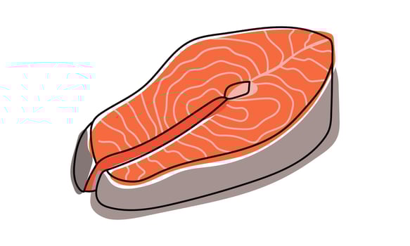 salmon fillet slice isolated on transparent background. vector