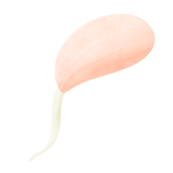 Seeds, cultivated seeds, strawberry seeds png