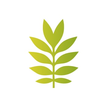 Green leaf icon, Elements design for natural, eco, vegan, bio label vector