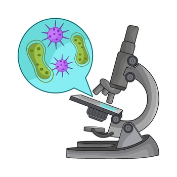 illustration of microscope vector