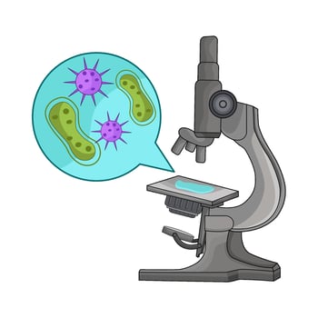 illustration of microscope vector