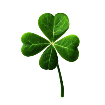lucky green clover and shamrock isolated on transparent background png