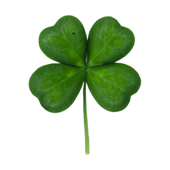 lucky green clover and shamrock isolated on transparent background png