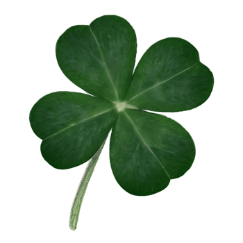 lucky green clover and shamrock isolated on transparent background png