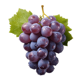 Purple Grape Fruit Without Background png