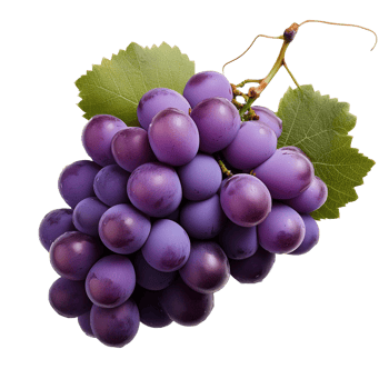Purple Grape Fruit Without Background png