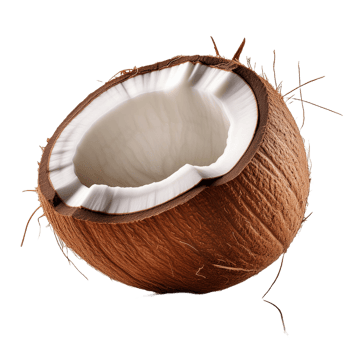 Without Background White Brown Coconut png