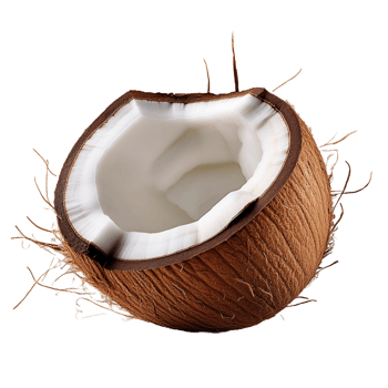 Without Background White Brown Coconut png
