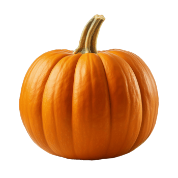 Vegetable Image Without Background Orange Pumpkin png