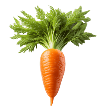 Vegetable Image Without Background Orange carrot png