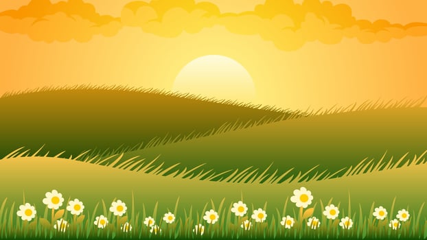 Landscape illustration of meadow with blooming flowers in spring vector