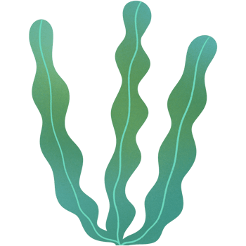 Kelp Seaweed Ornament png
