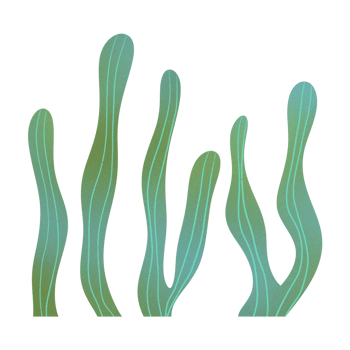Kelp Seaweed Ornament png