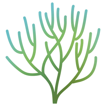 Kelp Seaweed Ornament png