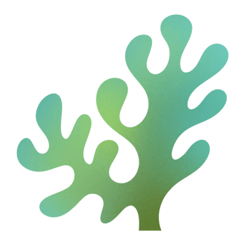 Kelp Seaweed Ornament png