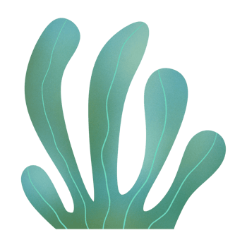 Kelp Seaweed Ornament png