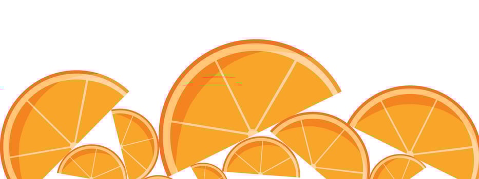 Orange fruit slice isolated on white background. illustration vector