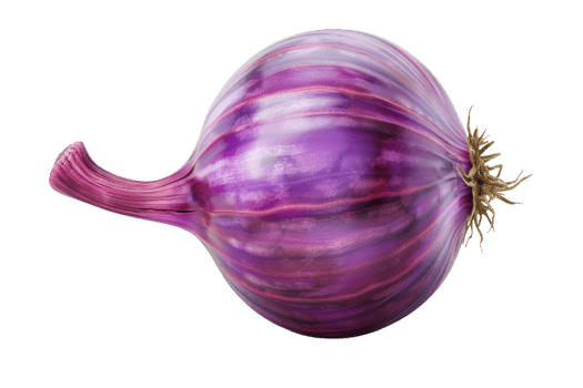 Purple Onion Isolated png