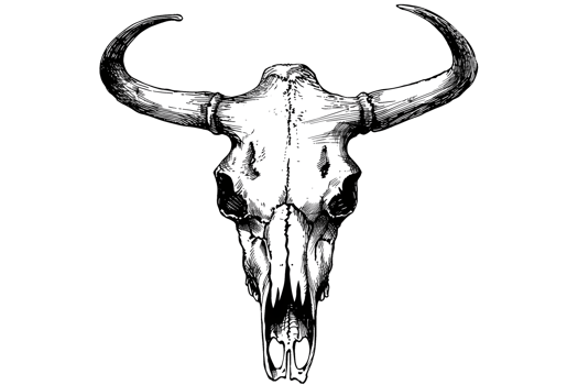 Black and White Vintage Hand Drawn Animal Skull Illustration png