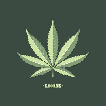 Leaf Cannabis illustration vector