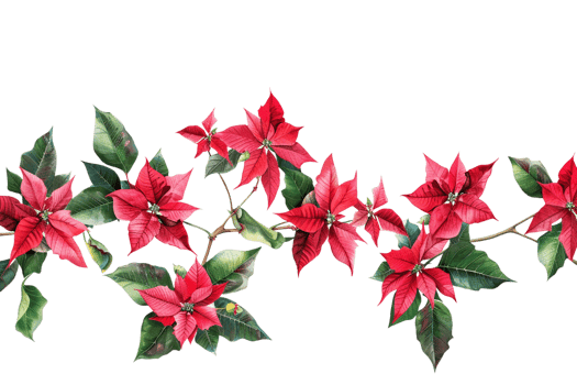 Seamless Tile of Christmas Poinsettias Border Isolated png