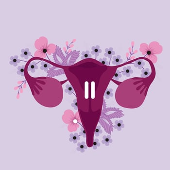 Uterus on pause with flowers vector