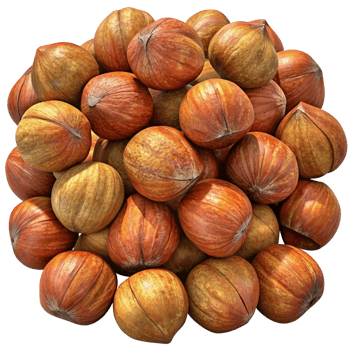 Heap of Hazelnuts Grain 3d Style png