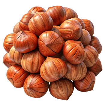 Heap of Hazelnuts Grain 3d Image png