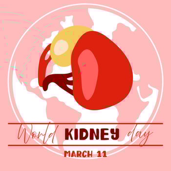 World Kidney Day banner, March 11, is used for design of postcards with a minimalist and modern concept, cover, background, kidneys, internal organs, international relations. Natural on pink vector