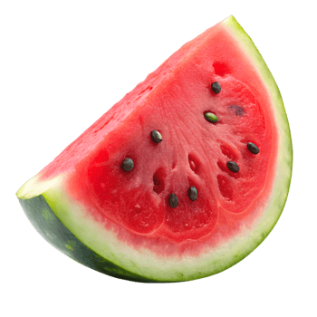 Fresh Watermelon Slice Icon png