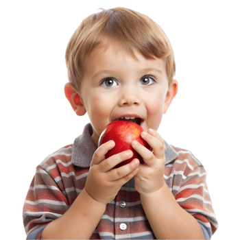 Child Eating an Apple png