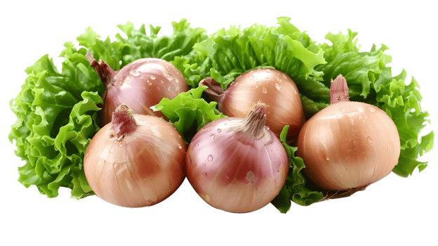Al generated fresh onions and lettuce isolated png