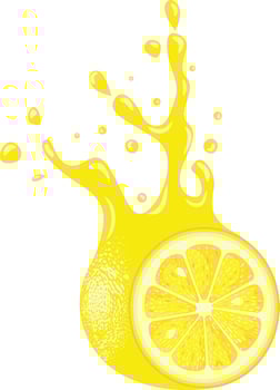 Yellow lemon splash juice isolated vector