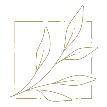 Floral line art sqaure frame design element png