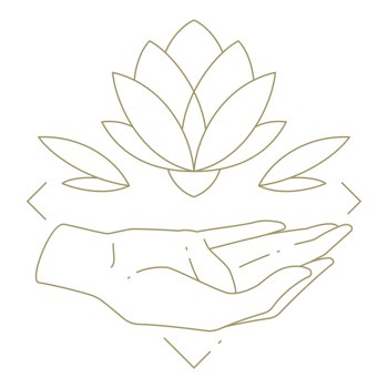 Hands holding flower line art design element png