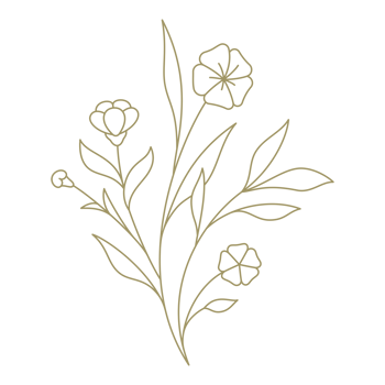 Branch with flower line art design element png