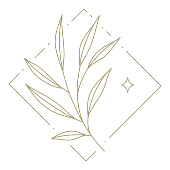 Floral line art sqaure frame design element png