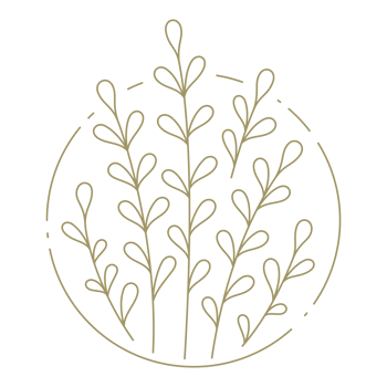 Branches with lieaves in circle frame line art design element png