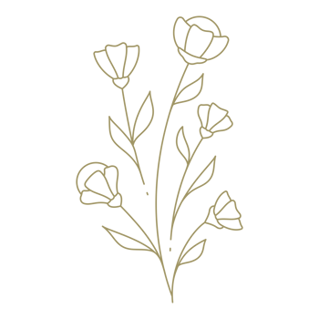 Minimalist floral line art design element png