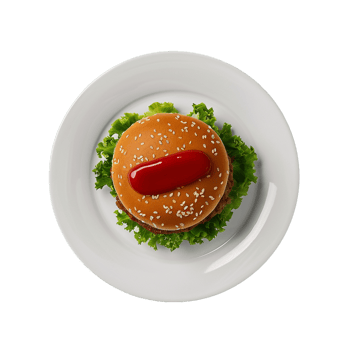 Food in plate isolated png