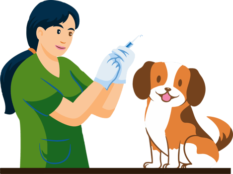 A woman is giving a dog a shot, rabies vaccine png