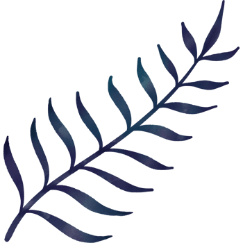Spring and flowers png