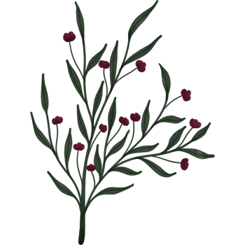 Spring and flowers png