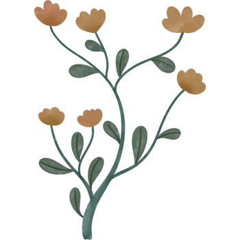 Spring and flowers png